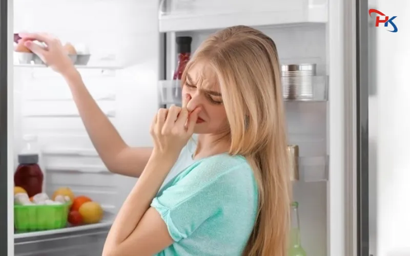 Tủ Lạnh Có Mùi Hôi
