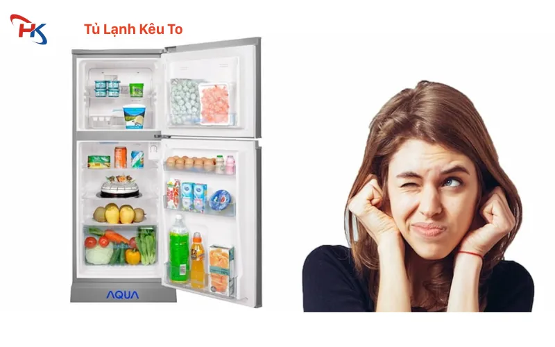 Tủ Lạnh Kêu To